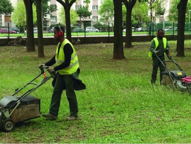  Image implantation panneaux solaire